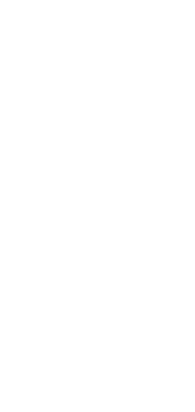 Saint Joseph et IRAF Lyon Logo Blanc